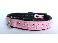 bitte darauf klicken